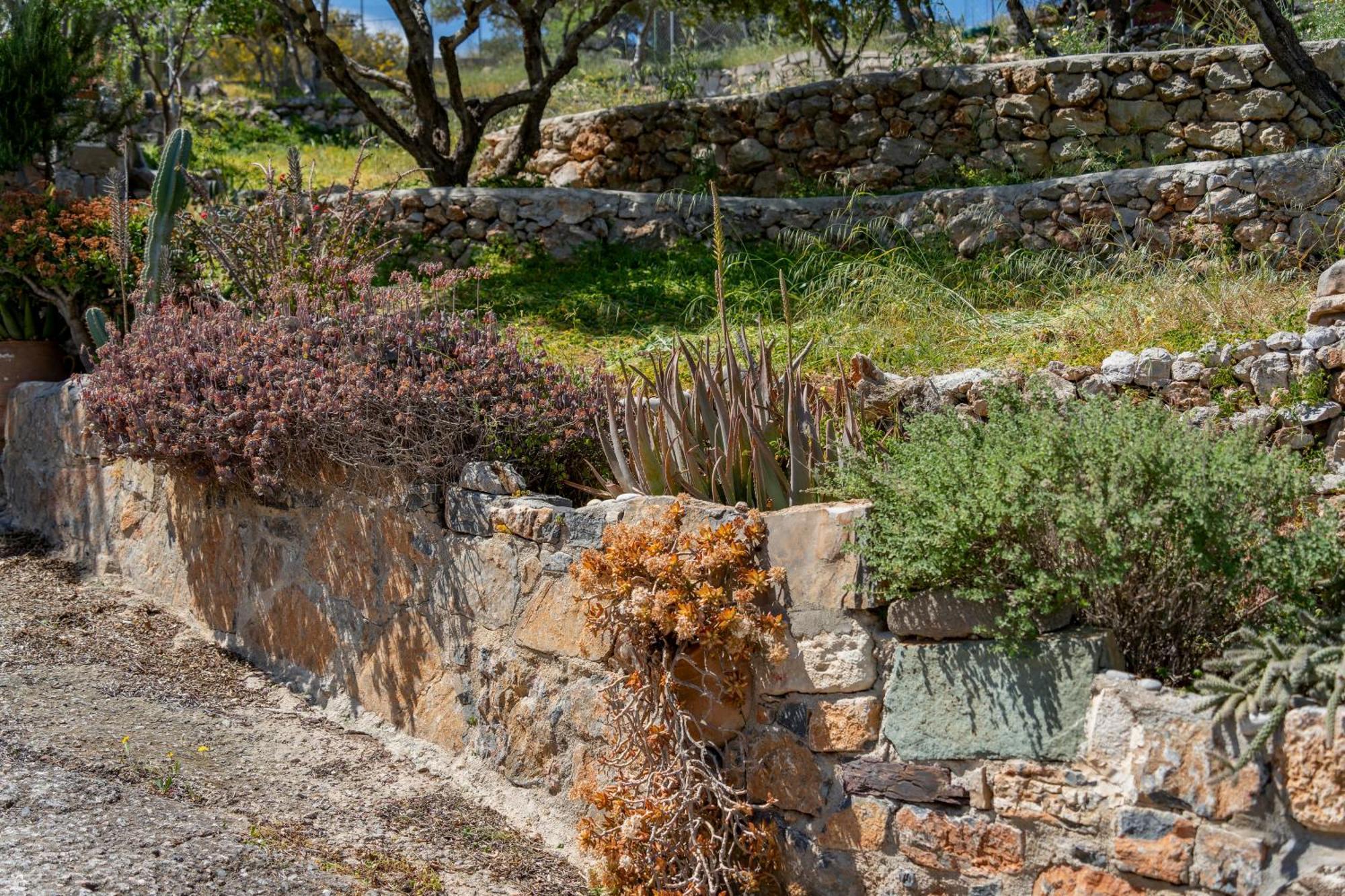 דירות Ágios Nikólaos Rafaela'S Sea View House מראה חיצוני תמונה